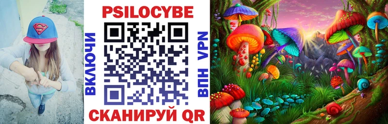 Псилоцибиновые грибы MAGIC MUSHROOMS  Купить закладки  Видное 